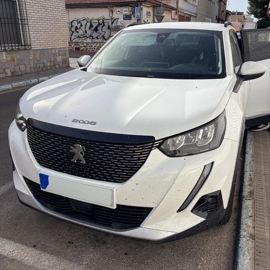 Antes del detailing profesional — Valet Exterior