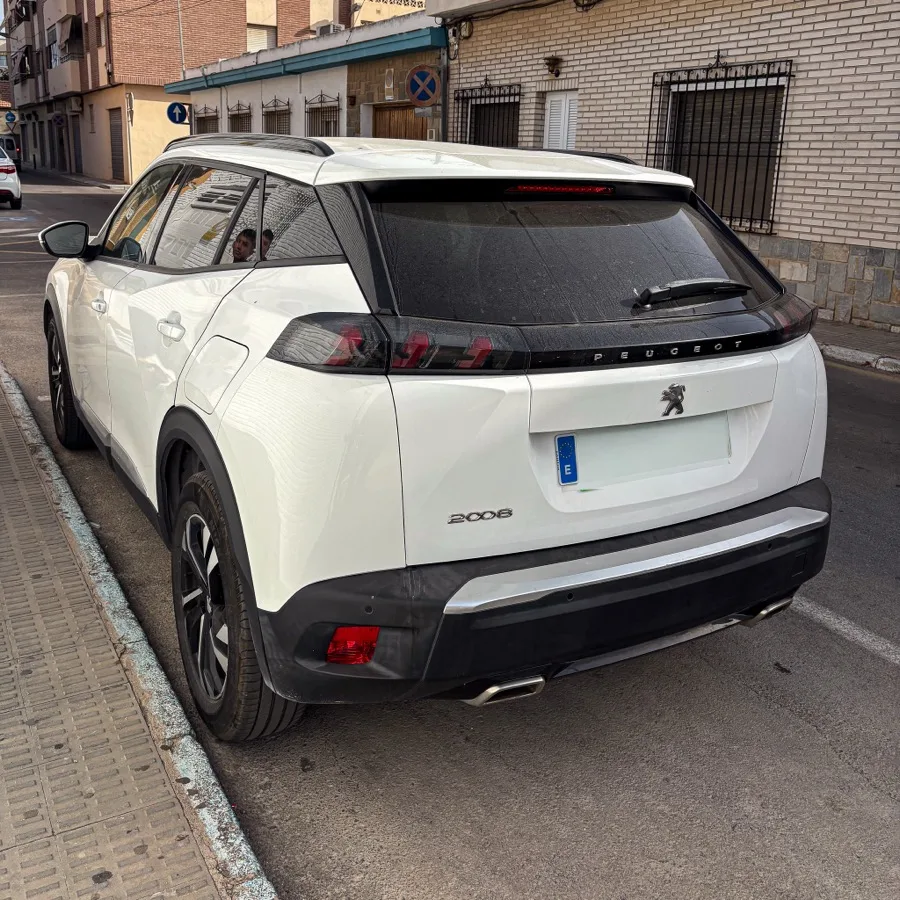 Antes del detailing profesional — Premium Detail